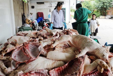 Bệnh thương hàn có nguyên nhân từ thực phẩm bẩn